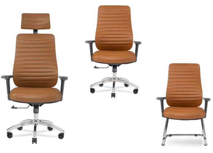 Yonetici Koltuklari Dragon